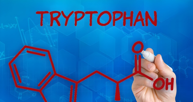 دلیل علمی خواب‌ آلودگی بعد از غذا چیست؟