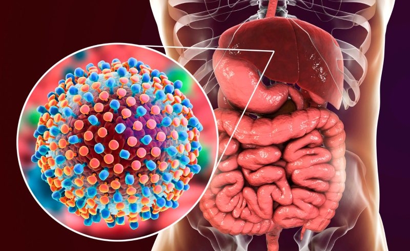 ناگفته‌ های تازه درباره هپاتیت و روش‌ های پیشگیری