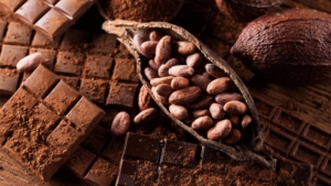 کاکائو؛ گیاهی با خواص شگفت‌ انگیز برای قلب، مغز و روان