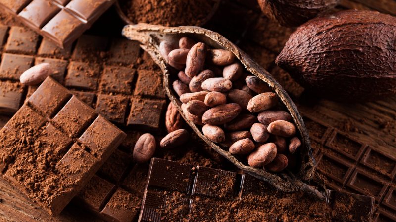 کاکائو؛ گیاهی با خواص شگفت‌ انگیز برای قلب، مغز و روان