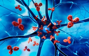 خود ایمنی چیست و چگونه بر بدن و زندگی روزمره تأثیر می‌ گذارد؟