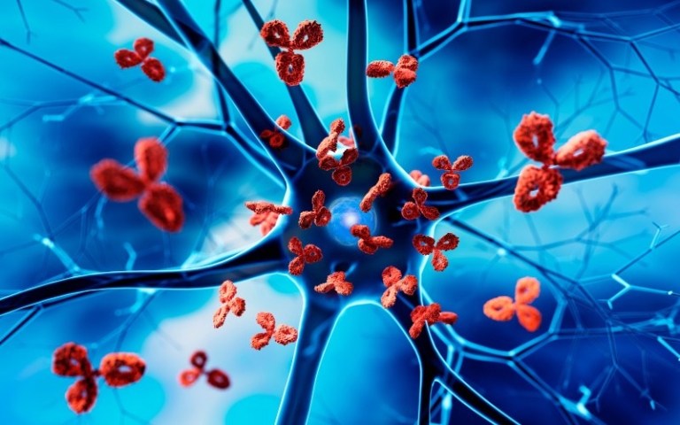 خود ایمنی چیست و چگونه بر بدن و زندگی روزمره تأثیر می‌ گذارد؟