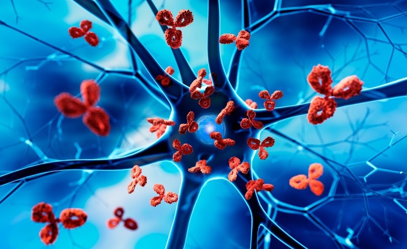 خود ایمنی چیست و چگونه بر بدن و زندگی روزمره تأثیر می‌ گذارد؟