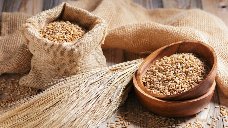 جو جایگزینی سالم و مغذی برای برنج در وعده‌ های غذایی