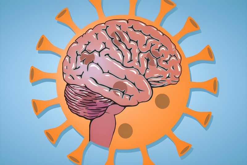 ساز و کارهای زیستی و پاسخ ایمنی