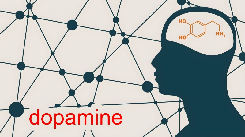آسیب های دوپامینیزه شدن