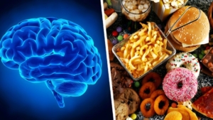 چرا غذاهای ناسالم این قدر جذاب هستند؟ راز تاثیر جانک فود بر مغز و هوس غذایی