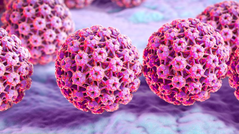 افزایش ابتلا به HPV در ایران؛ علائم، راه های انتقال، واکسن و روش های پیشگیری